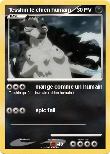 Pokemon Tesshin le chien humain