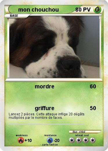 Pokemon mon chouchou