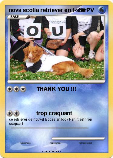 Pokemon nova scotia retriever en t-shirt