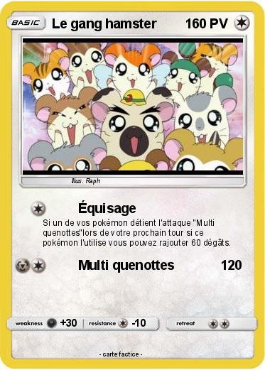Pokemon Le gang hamster