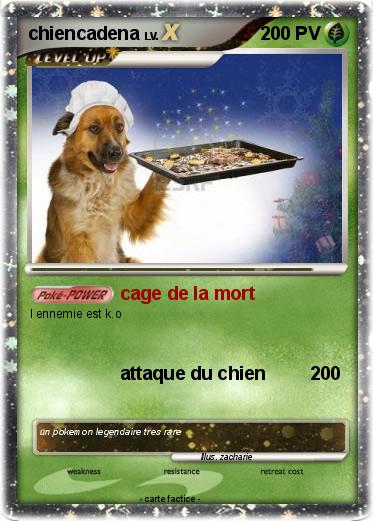 Pokemon chiencadena
