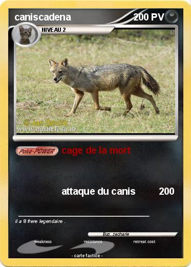 Pokemon caniscadena