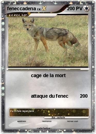 Pokemon feneccadena