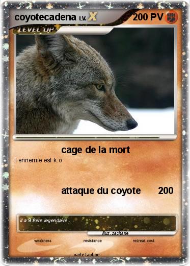 Pokemon coyotecadena