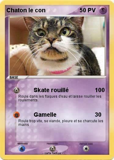 Pokemon Chaton le con