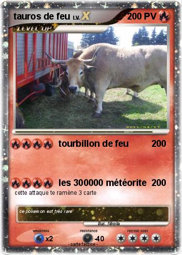 Pokemon tauros de feu