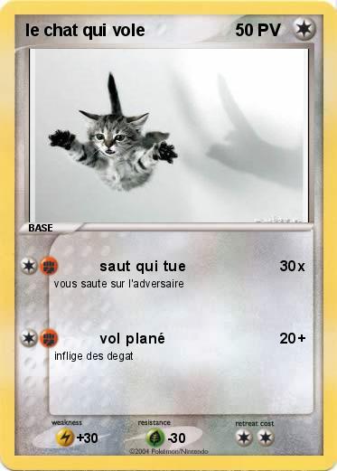 Pokemon le chat qui vole