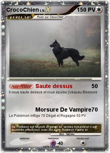 Pokemon CrocoChien