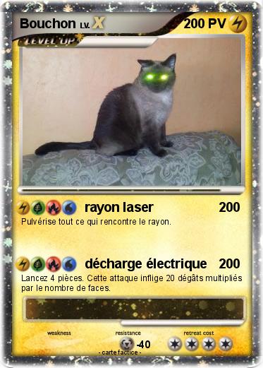 Pokemon Bouchon