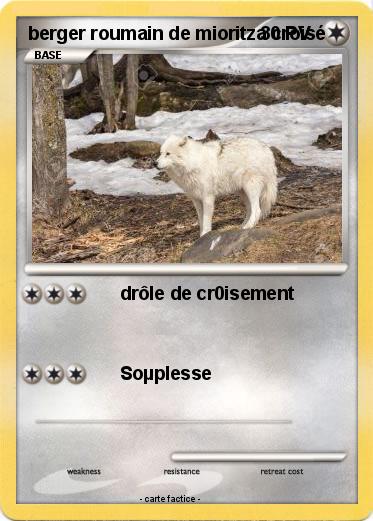 Pokemon berger roumain de mioritza croisé