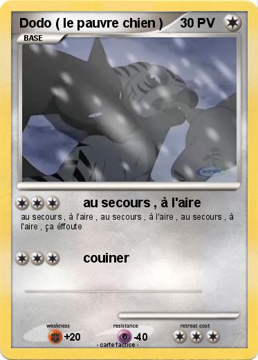 Pokemon Dodo ( le pauvre chien )