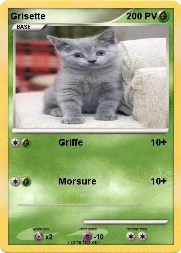Pokemon Grisette