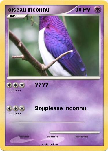 Pokemon oiseau inconnu