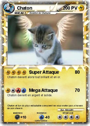 Pokemon Chaton