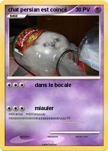 Pokemon chat persian est coincé
