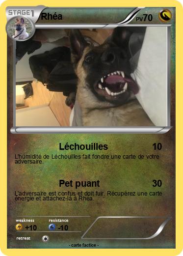 Pokemon Rhéa