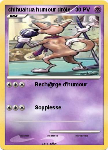 Pokemon chihuahua humour drôle