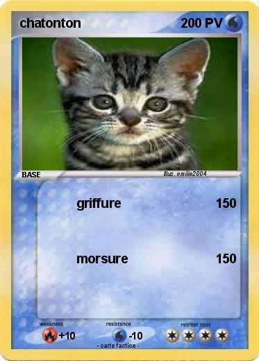 Pokemon chatonton