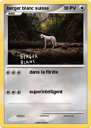 Pokemon berger blanc suisse