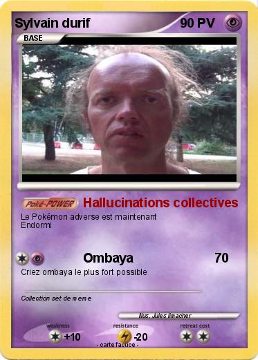 Pokemon Sylvain durif