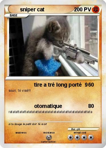 Pokemon sniper cat