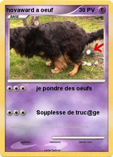 Pokemon hovaward a oeuf