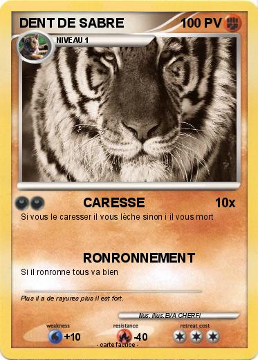 Pokemon DENT DE SABRE