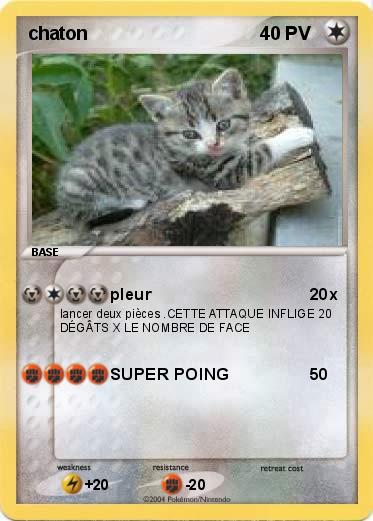 Pokemon chaton