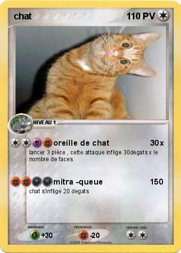 Pokemon chat