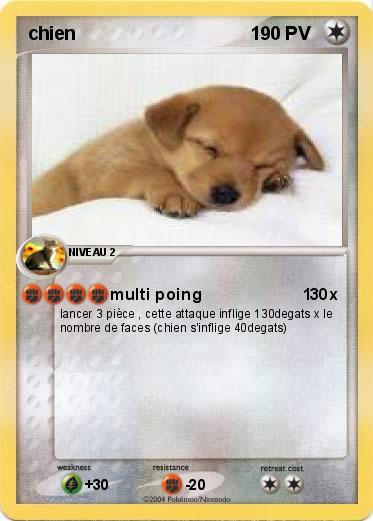 Pokemon chien                                  1