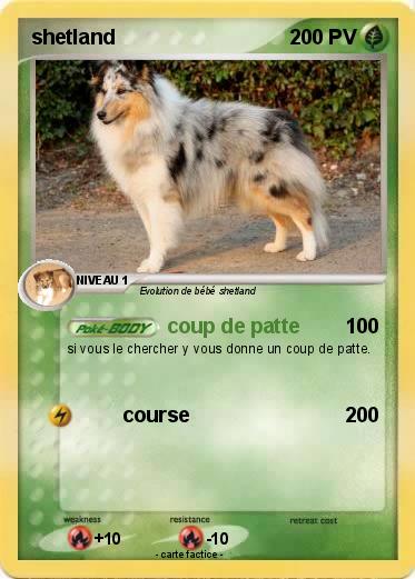 Pokemon shetland