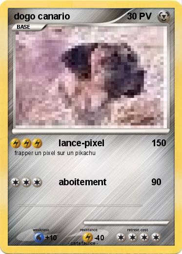 Pokemon dogo canario