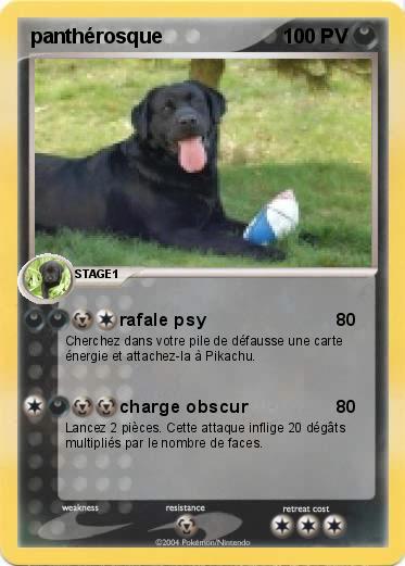 Pokemon panthérosque