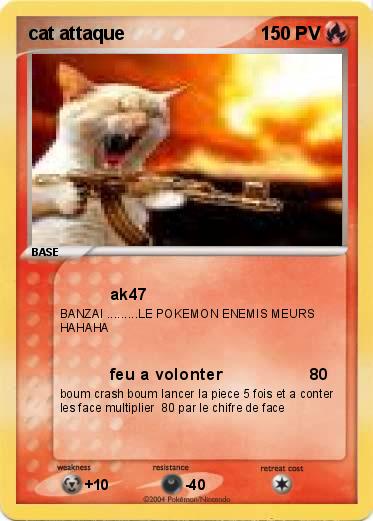 Pokemon cat attaque