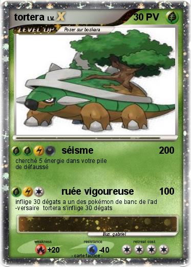 Pokemon tortera