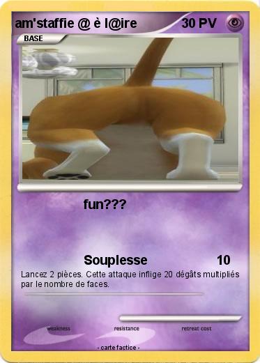 Pokemon am'staffie @ è l@ire