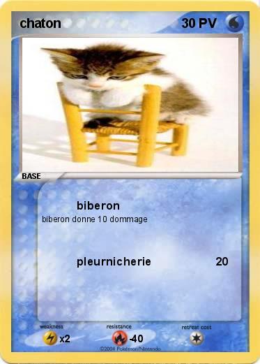 Pokemon chaton