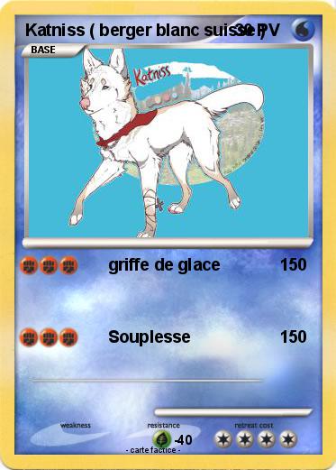 Pokemon Katniss ( berger blanc suisse )