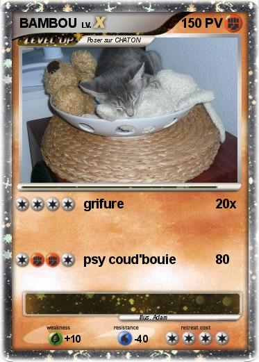 Pokemon BAMBOU