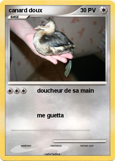 Pokemon canard doux