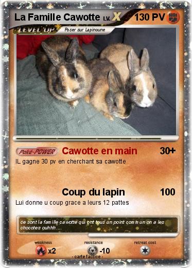 Pokemon La Famille Cawotte