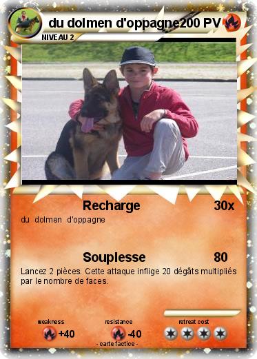 Pokemon du dolmen d'oppagne