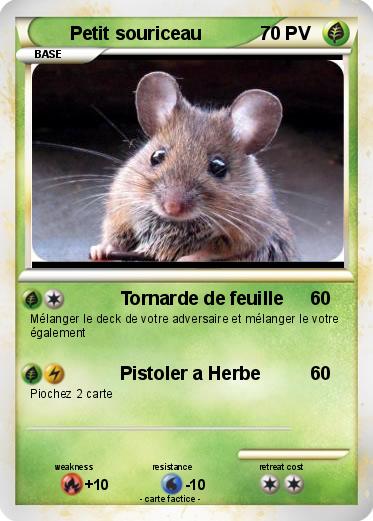 Pokemon Petit souriceau