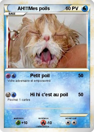 Pokemon AH!!!Mes poils