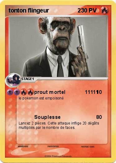 Pokemon tonton flingeur                  2
