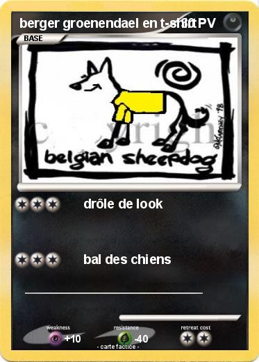 Pokemon berger groenendael en t-shirt