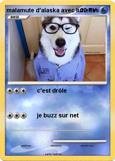 Pokemon malamute d'alaska avec lunettes