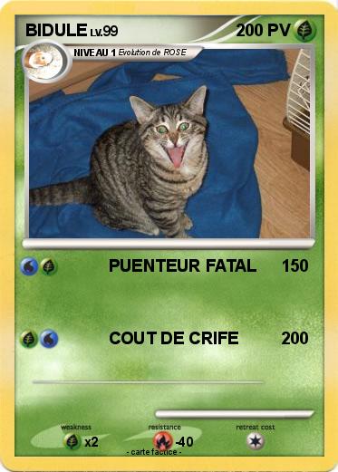 Pokemon BIDULE
