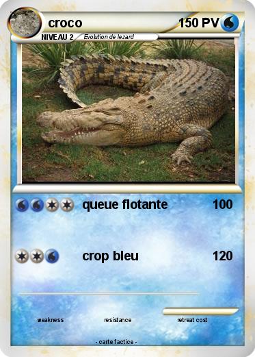 Pokemon croco