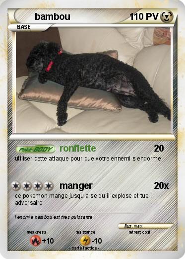 Pokemon bambou